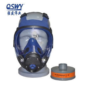1608-D 单罐防毒全面罩防雾化工业防毒全面具配滤罐